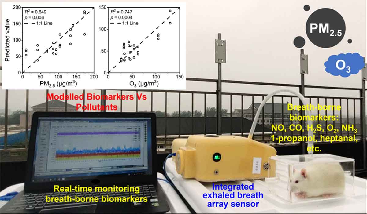 要茂盛课题组使用大鼠呼吸气态生物标志物实时监测空气污染对健康的影响